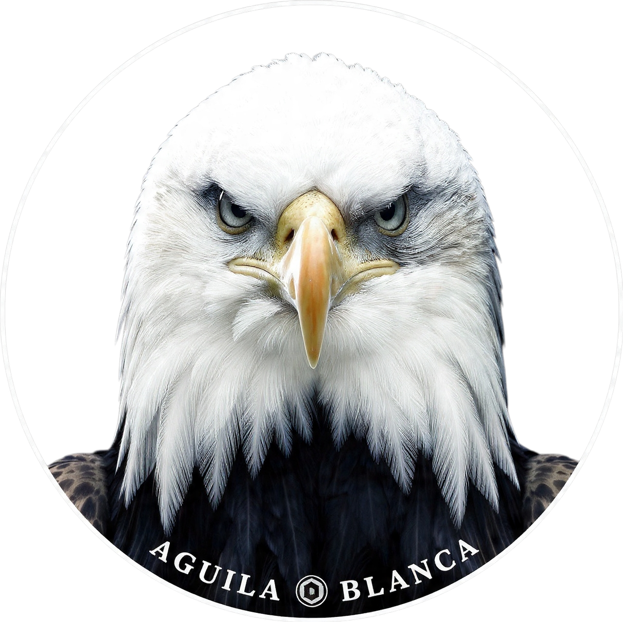 Logo de ÁGUILA BLANCA, cabeza de águila calva blanca sobre fondo circular